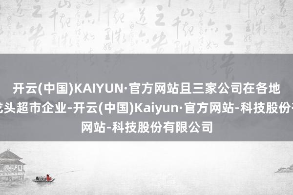 开云(中国)KAIYUN·官方网站且三家公司在各地域齐是龙头超市企业-开云(中国)Kaiyun·官方网站-科技股份有限公司