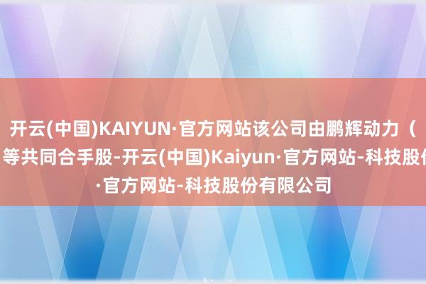 开云(中国)KAIYUN·官方网站该公司由鹏辉动力（300438）等共同合手股-开云(中国)Kaiyun·官方网站-科技股份有限公司