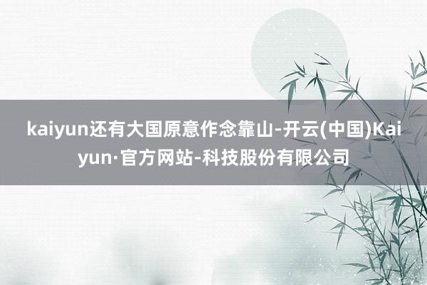 kaiyun还有大国原意作念靠山-开云(中国)Kaiyun·官方网站-科技股份有限公司