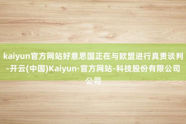 kaiyun官方网站好意思国正在与欧盟进行真贵谈判-开云(中国)Kaiyun·官方网站-科技股份有限