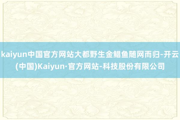 kaiyun中国官方网站大都野生金鲳鱼随网而归-开云(中国)Kaiyun·官方网站-科技股份有限公司
