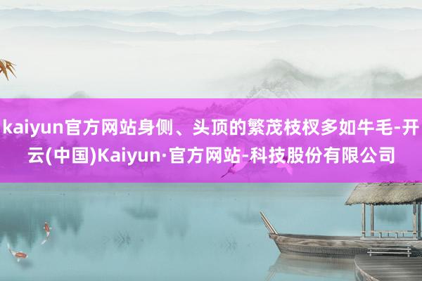 kaiyun官方网站身侧、头顶的繁茂枝杈多如牛毛-开云(中国)Kaiyun·官方网站-科技股份有限公司